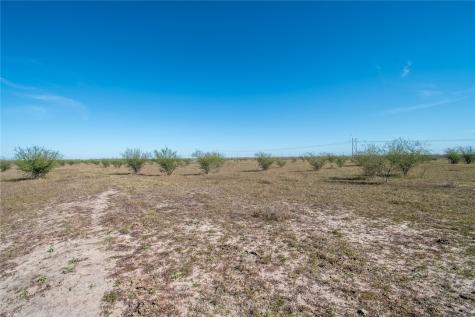 0 Tract 11 Fm 666 Road Robstown TX 78380