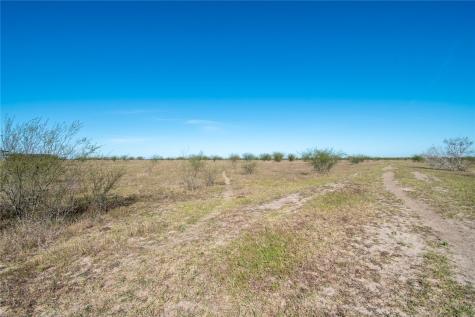 0 Tract 11 Fm 666 Road Robstown TX 78380