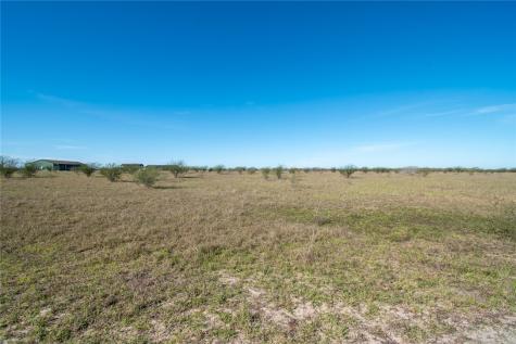 0 Tract 11 Fm 666 Road Robstown TX 78380
