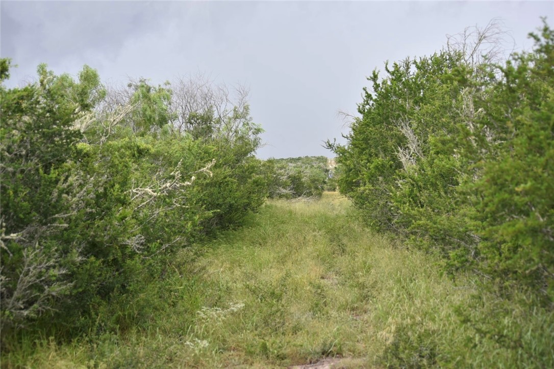 0 Blackbrush Spur Road George West TX 78022