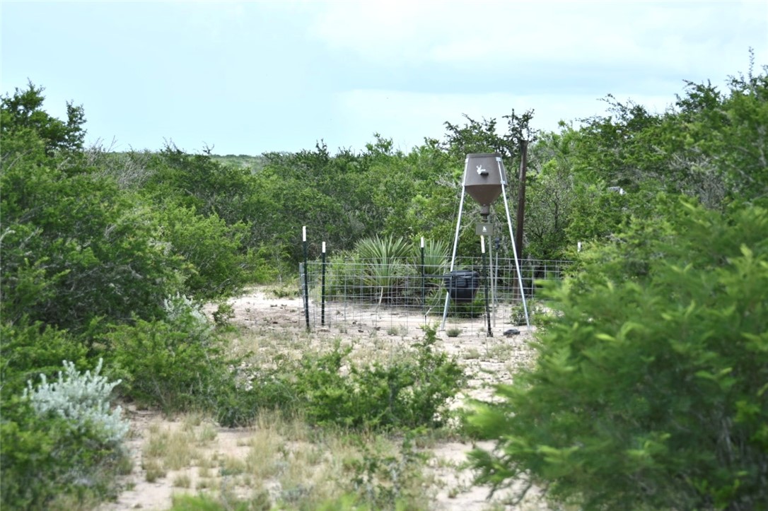 0 Blackbrush Spur Road George West TX 78022