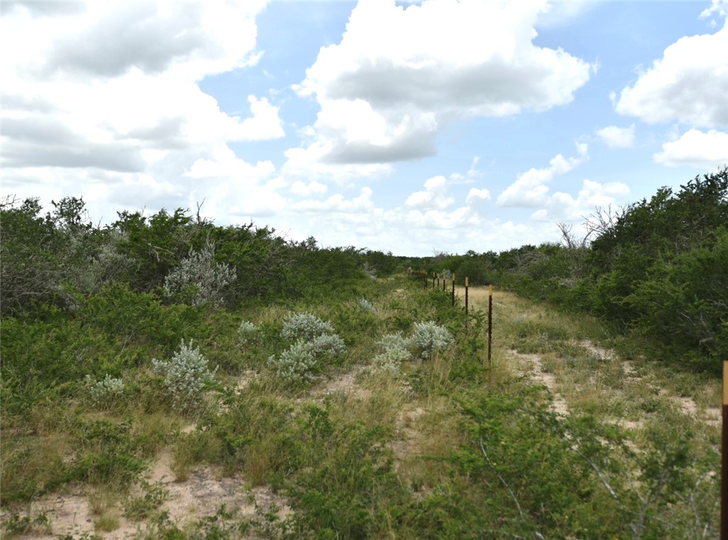 0 Blackbrush Spur Road George West TX 78022