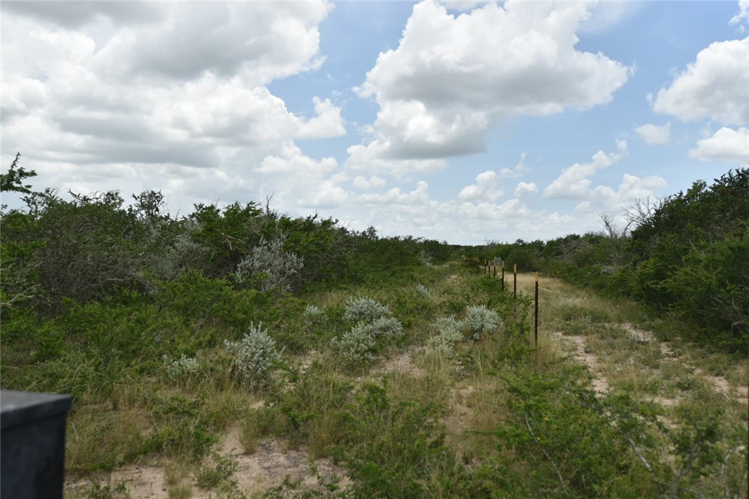 0 Blackbrush Spur Road George West TX 78022