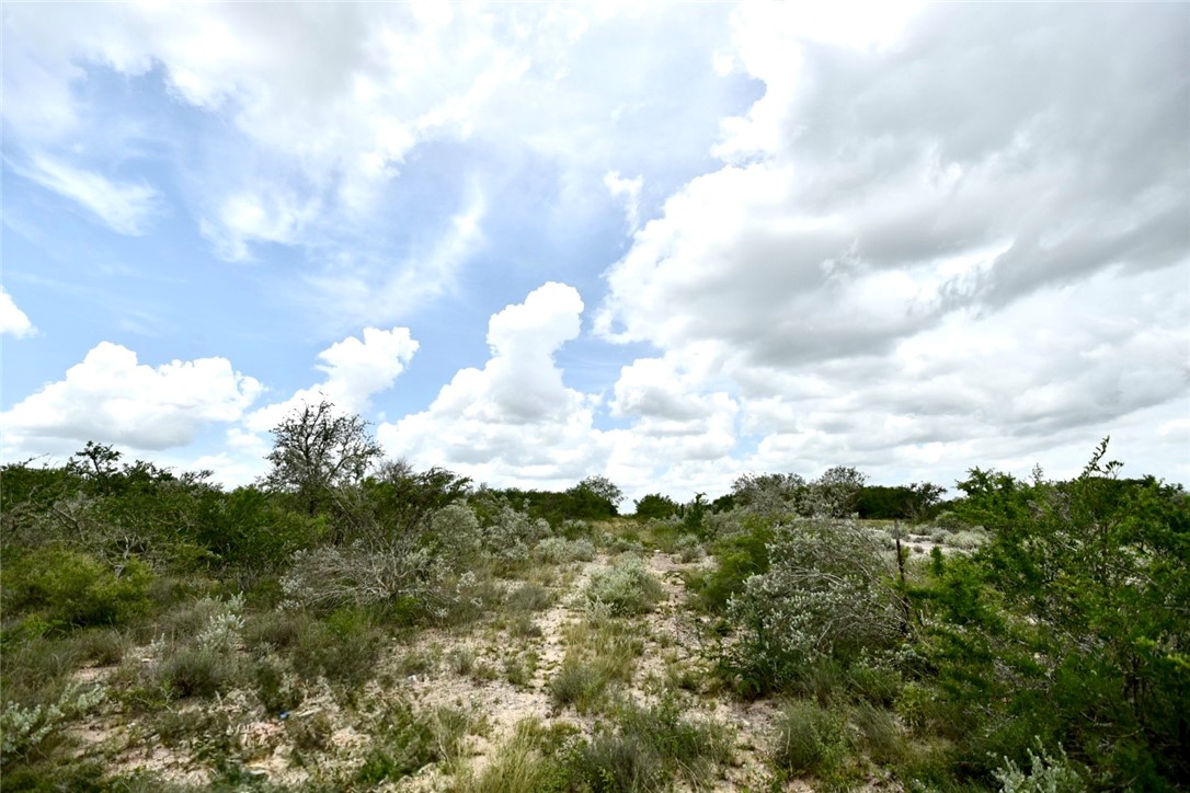 0 Blackbrush Spur Road George West TX 78022