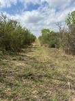 0 Blackbrush Spur Road George West TX 78022