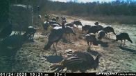 0 Blackbrush Spur Road George West TX 78022