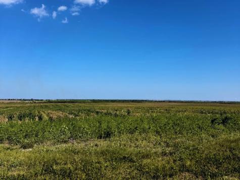 Tbd County Rd 1070 S Kingsville TX 78363