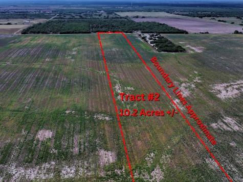 Tbd County Rd 1070 S Kingsville TX 78363