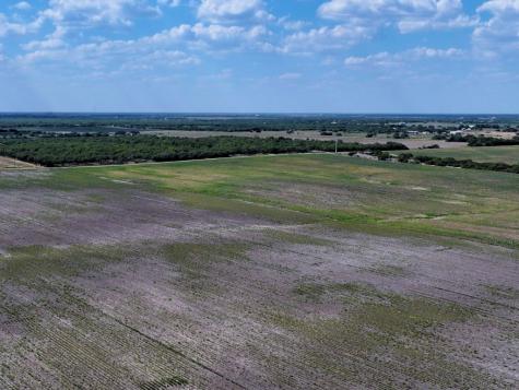 Tbd County Rd 1070 S Kingsville TX 78363