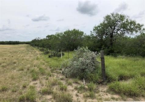 3252 County Road 341 Freer TX 78357
