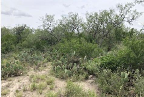 3252 County Road 341 Freer TX 78357