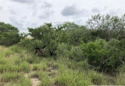 3252 County Road 341 Freer TX 78357