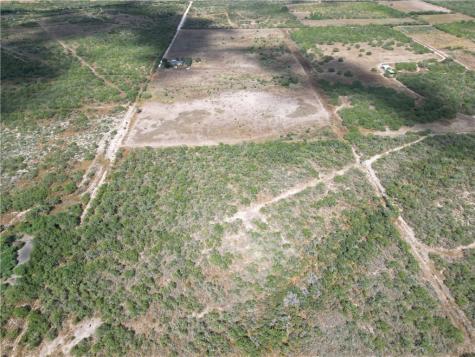 3252 County Road 341 Freer TX 78357