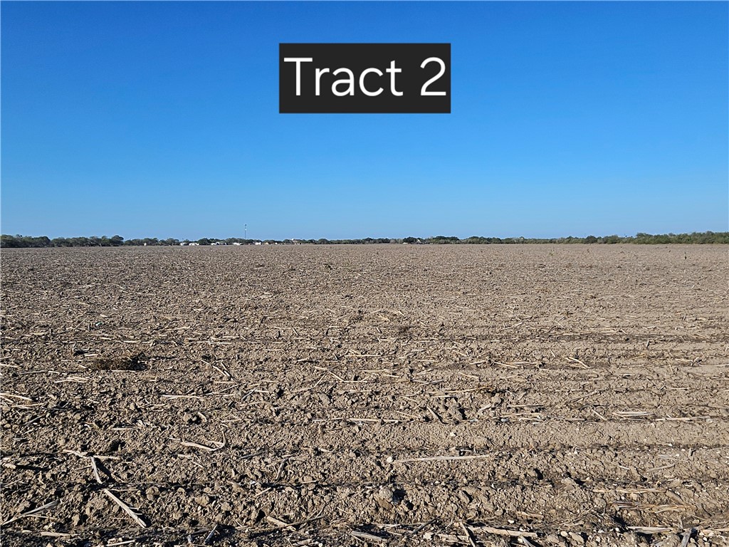 Tract 2 W Escondido Road Kingsville TX 78363