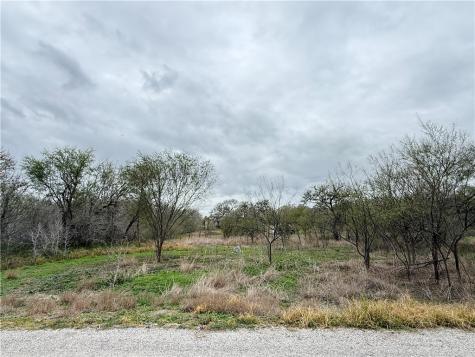 6275 N Sandy Hollow Road Robstown TX 78380