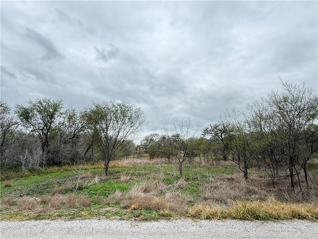 6275 N Sandy Hollow Road Robstown TX 78380