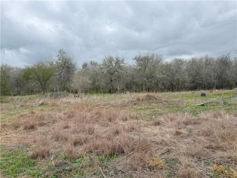 6275 N Sandy Hollow Road Robstown TX 78380