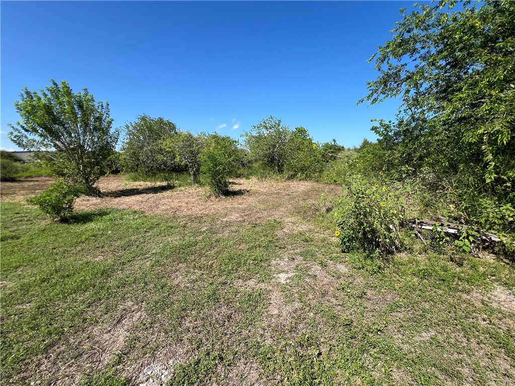 0 Lot 13 Mccullough (Tiner) Ingleside TX 78362