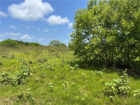 0 Lot 13 Mccullough (Tiner) Ingleside TX 78362