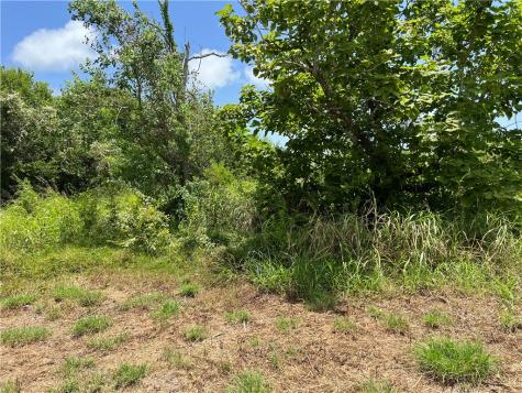 0 Lot 13 Mccullough (Tiner) Ingleside TX 78362