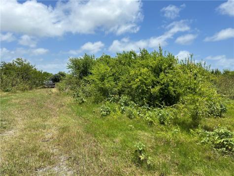0 Lot 13 Mccullough (Tiner) Ingleside TX 78362