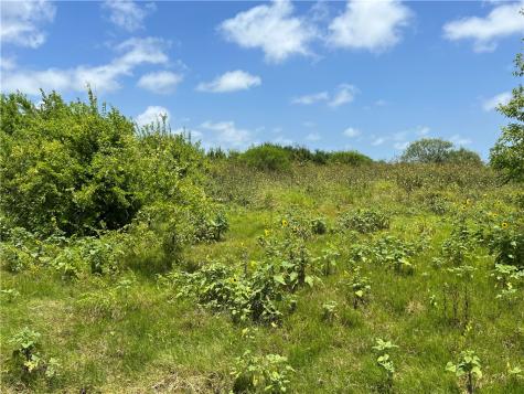 0 Lot 13 Mccullough (Tiner) Ingleside TX 78362