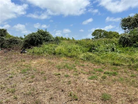 0 Lot 13 Mccullough (Tiner) Ingleside TX 78362