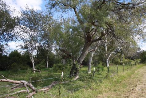 4 Cr 1196 4 Sinton TX 78387