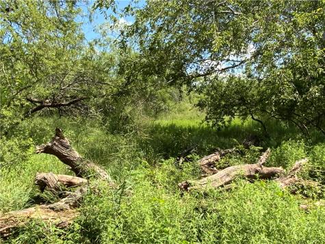 4 Cr 1196 4 Sinton TX 78387