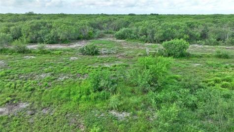 0 W County Road 2170 Kingsville TX 78363