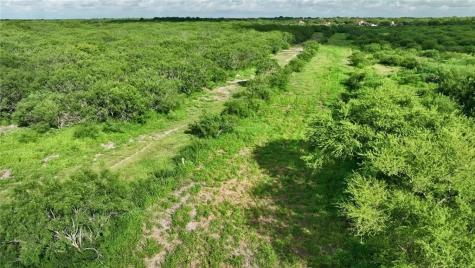 0 W County Road 2170 Kingsville TX 78363
