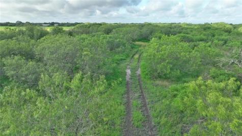 0 W County Road 2170 Kingsville TX 78363