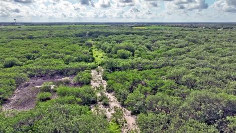 0 W County Road 2170 Kingsville TX 78363