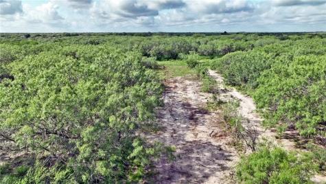 0 W County Road 2170 Kingsville TX 78363