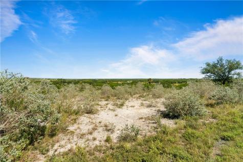 00 Carmel Drive Sandia TX 78383