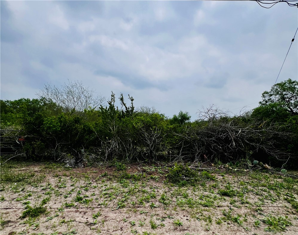 Tbd Highway 359 Highway Orange Grove TX 78372