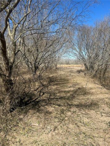 179 County Road 1461 Alice TX 78332