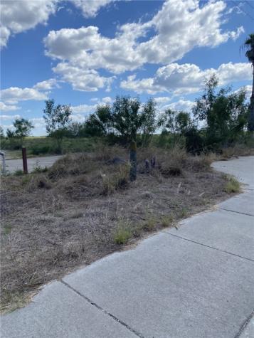 1701 S Highway 281 Falfurrias TX 78355