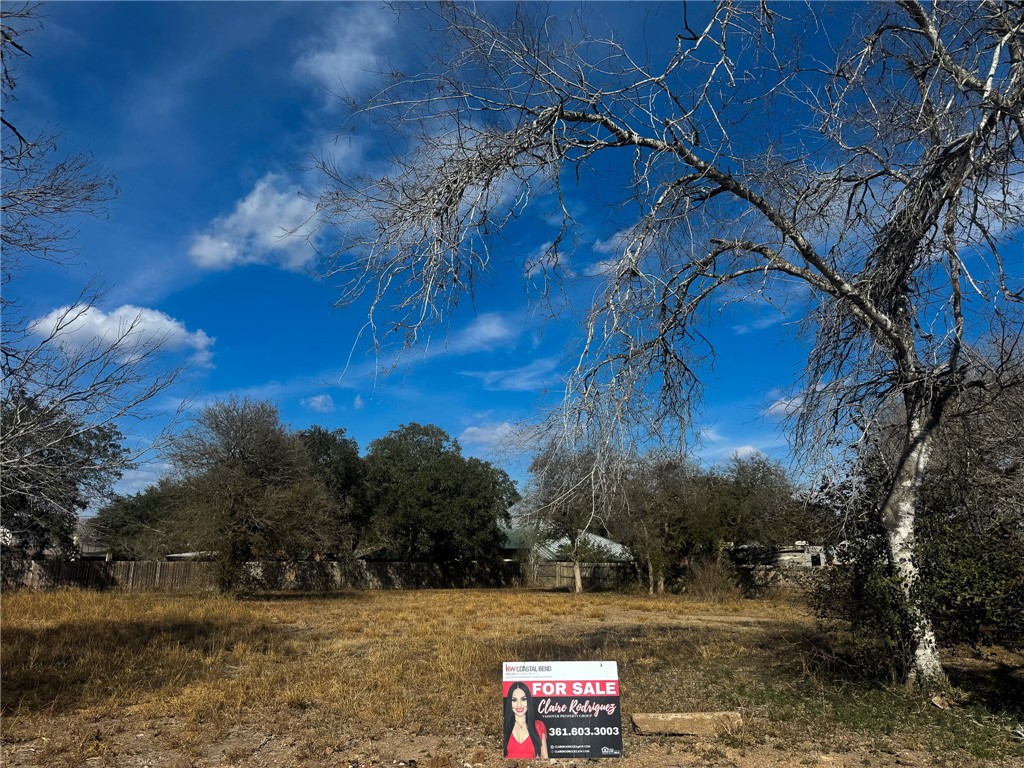 00 Santa Rosa Drive Alice TX 78332