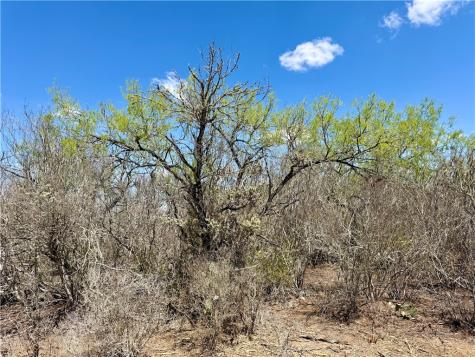 0 County Road 103 San Diego TX 78334