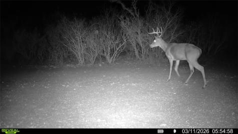 0 County Road 103 San Diego TX 78334