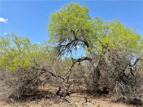 0 County Road 103 San Diego TX 78334