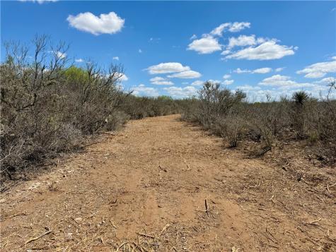 0 County Road 103 San Diego TX 78334