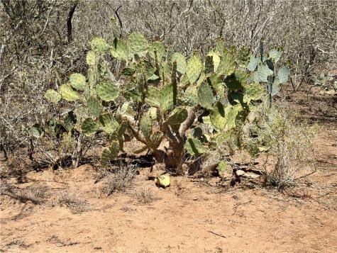0 County Road 103 San Diego TX 78334