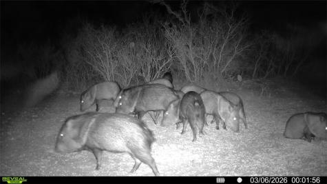 0 County Road 103 San Diego TX 78334