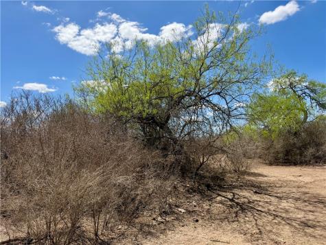0 County Road 103 San Diego TX 78334