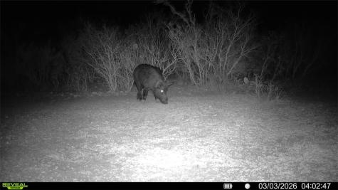 0 County Road 103 San Diego TX 78334