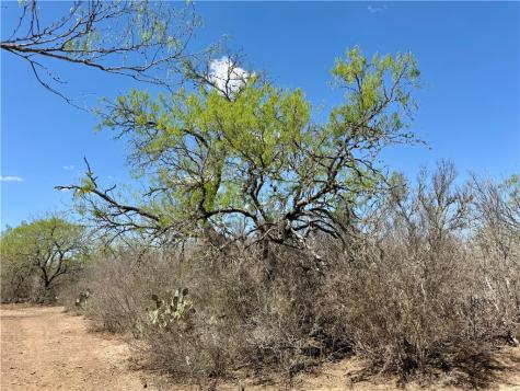 0 County Road 103 San Diego TX 78334