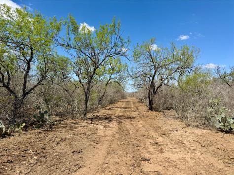 0 County Road 103 San Diego TX 78334