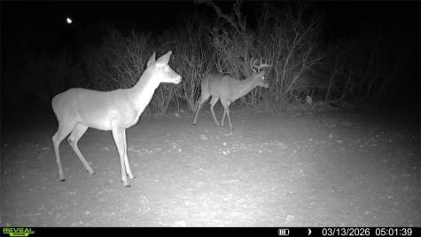 0 County Road 103 San Diego TX 78334